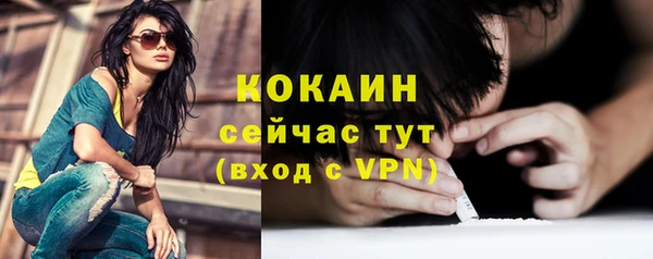 молекула духа Заволжье