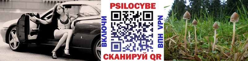 Галлюциногенные грибы Psilocybe  Купить  Ирбит 